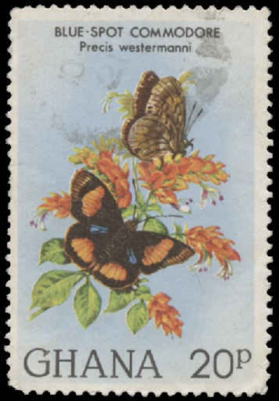 Ghana Scott # 789, 20p Multicolored (1982) Butterfly (Blue-spot Commodore), Used - Ghana (1957-...)