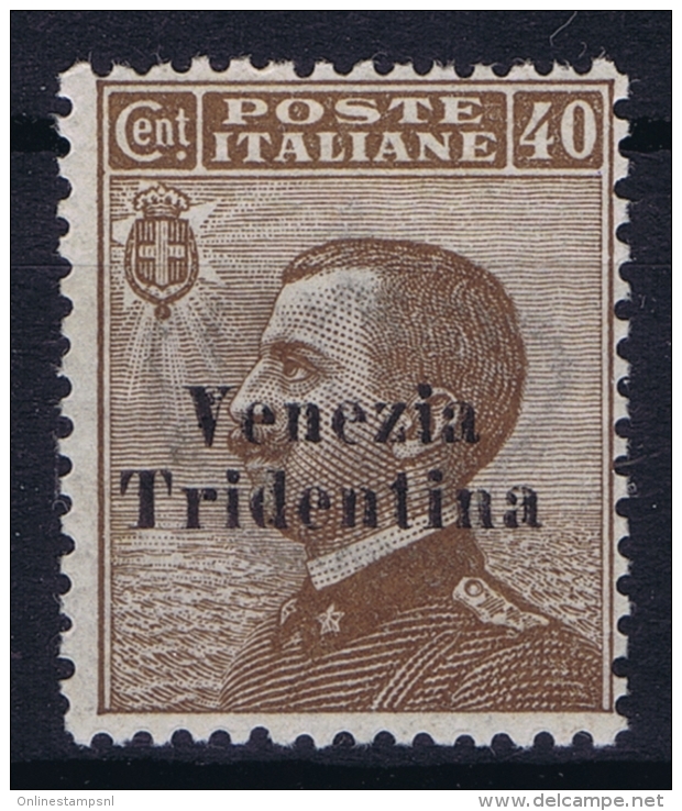 Italy: Venezia Trentino Tridentia Sa 24  MH/* Flz/ Charniere   Trentino Alto Adige  1918 - Trentin