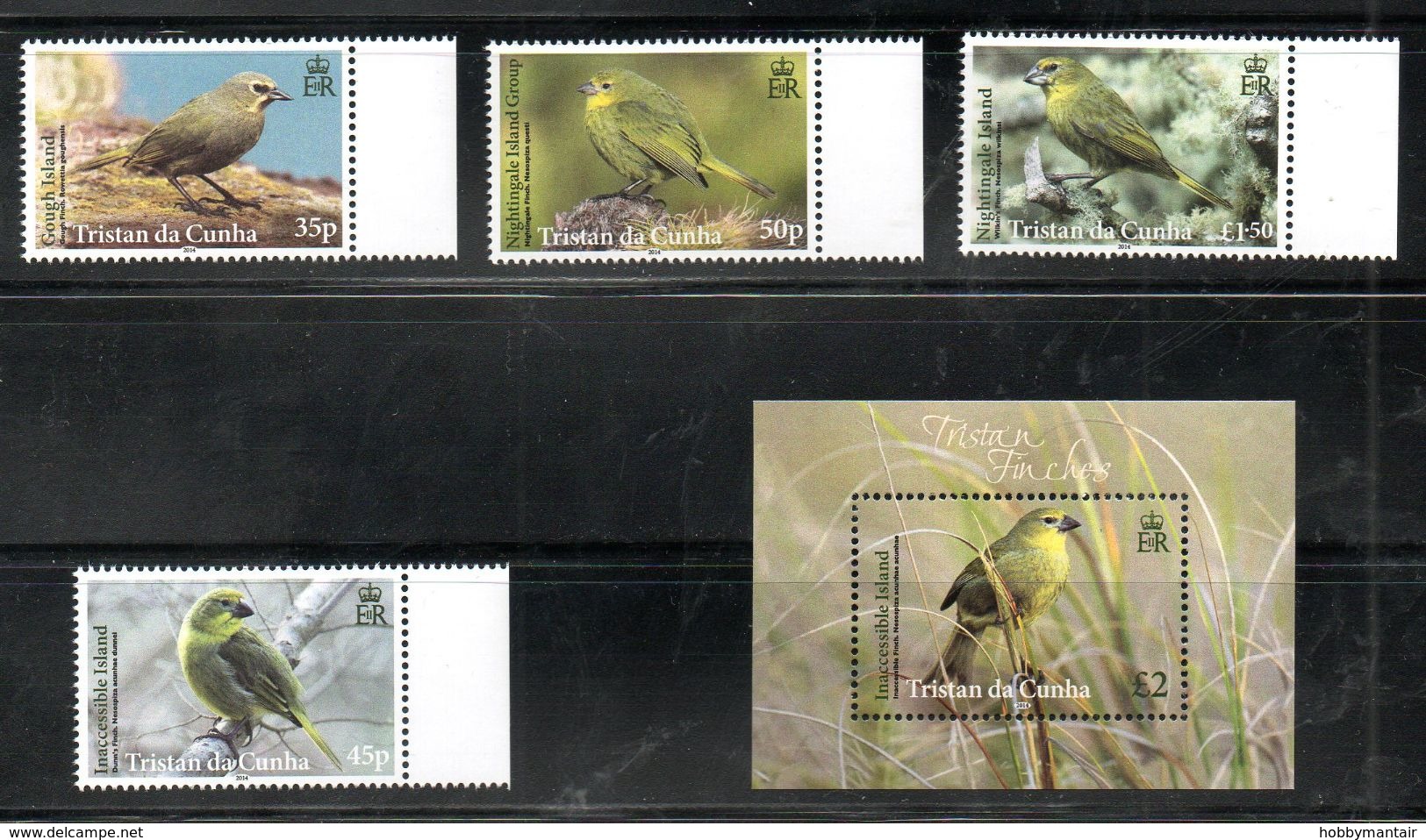 TRISTAN Da CUNHA, 2014,  BIRDS, 4v.+M/S. MNH** - Autres & Non Classés