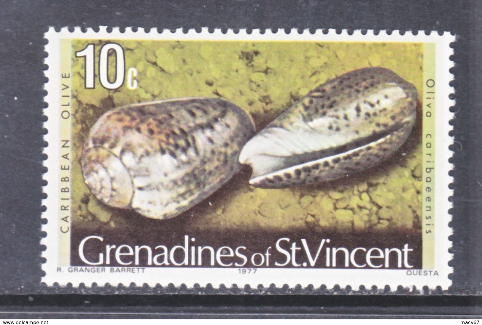 ST. VINCENT  GRENADINES  40    **    SEA SHELLS - St.Vincent (...-1979)