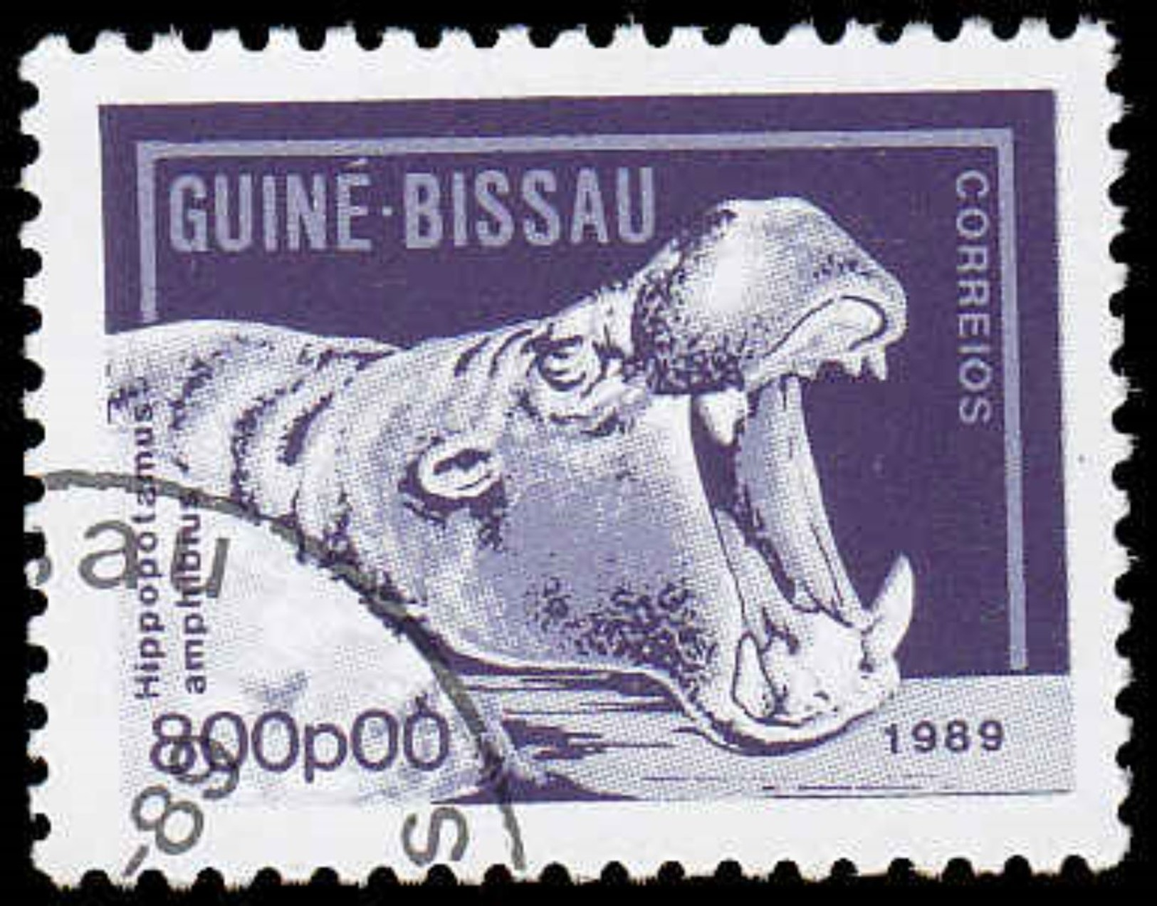 Guinea-Bissau Scott #862, ½p Blue (1989) Hippopotamus, Used - Guinea-Bissau