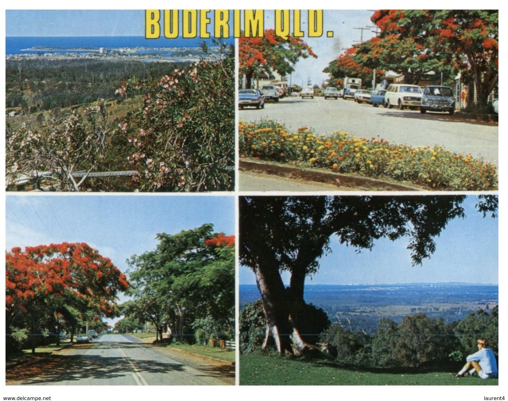 (235) Australia - QLD - Buderim (with Stamp At Back Of Card) - Sunshine Coast