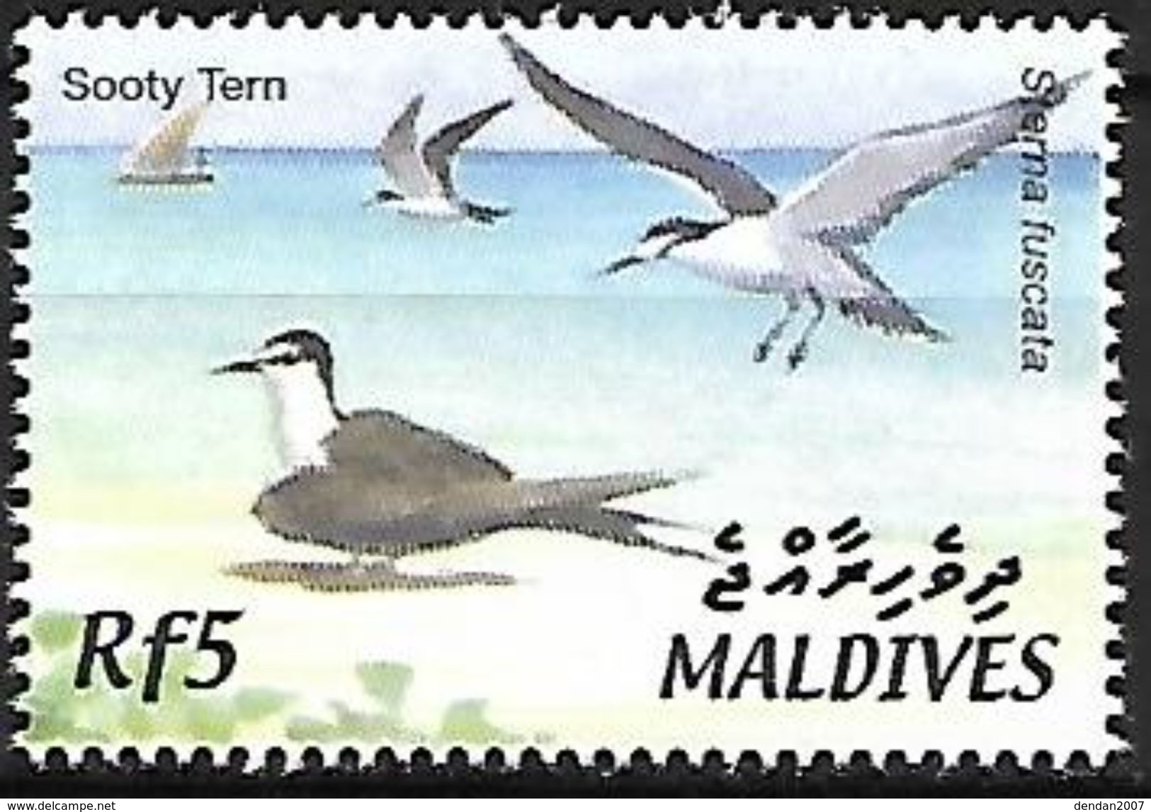 Maldives - MNH - 2002 - Sooty Tern (Onychorpion Fuscatus) - Seagulls