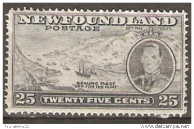 Newfoundland  1937 SG 266 25c  Unmounted Mint - 1908-1947