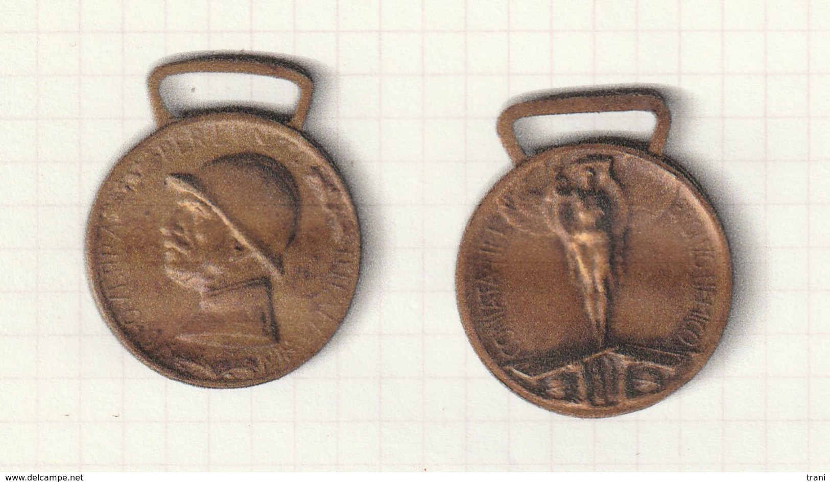 MEDAGLIA COMMEMORATIVA DELLA GUERRA ITALO AUSTRIACA - - Italie