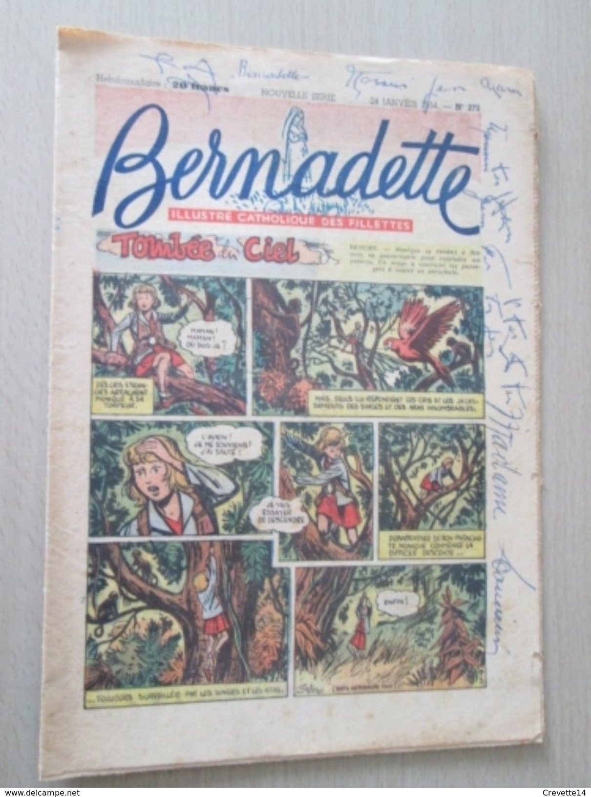DIV0714 /  Fascicule De La Revue BERNADETTE N° 373 De 1954 / En Couverture : Tombée Du Ciel Et Pas Vierge !!! - Bernadette