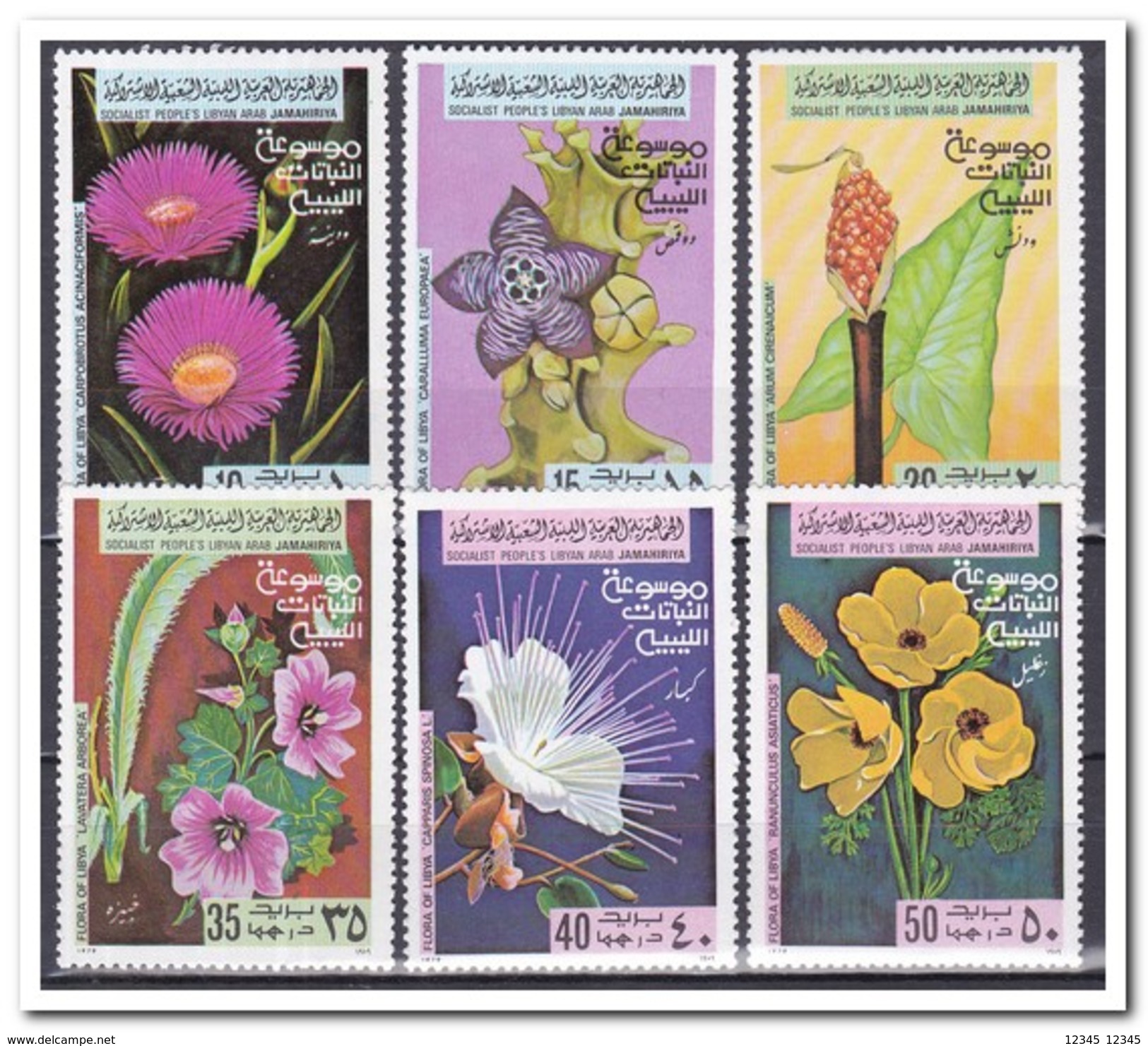 Libië 1979, Postfris MNH, Flowers - Libië