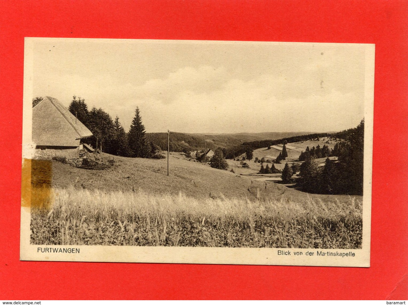 FURTWANGEN Blick Von Der Martinskapelle - Autres & Non Classés