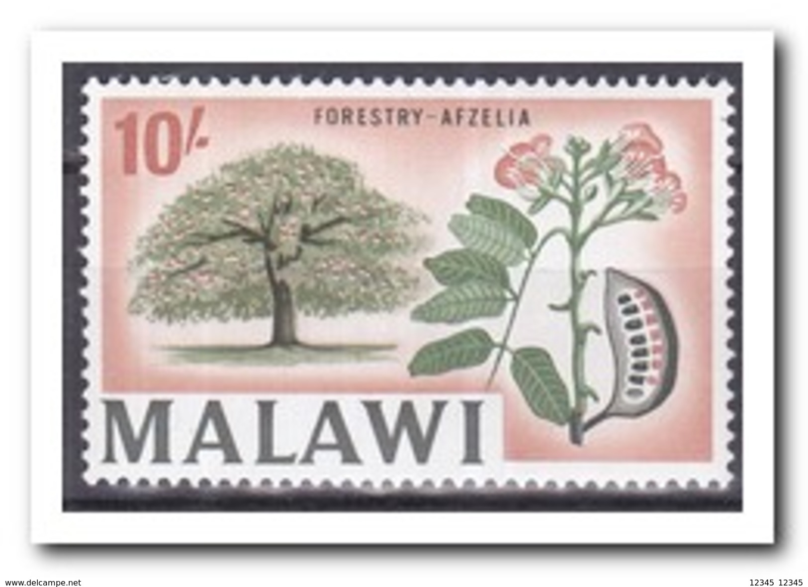 Malawi 1964, Postfris MNH, Trees - Malawi (1964-...)