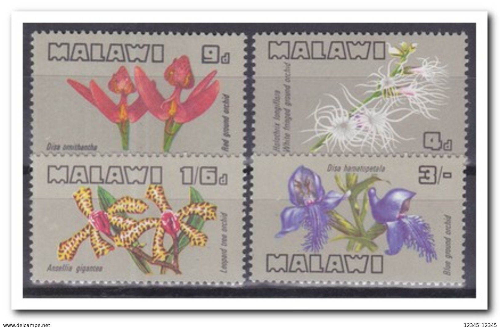 Malawi 1969, Postfris MNH, Flowers, Orchids - Malawi (1964-...)