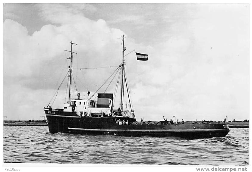 " WITTE ZEE " L. Smit &amp; Co's Int. Sleepdienst ( NL Nederland ) REMORQUEUR Tug Boat Schlepper Sleepboot - CPSM Photo  - Rimorchiatori