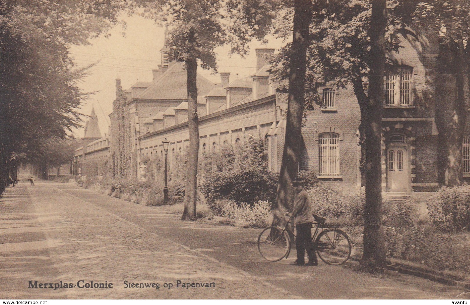 MERKSPLAS / KOLONIE / STEENWEG OP PAPENVART - Merksplas