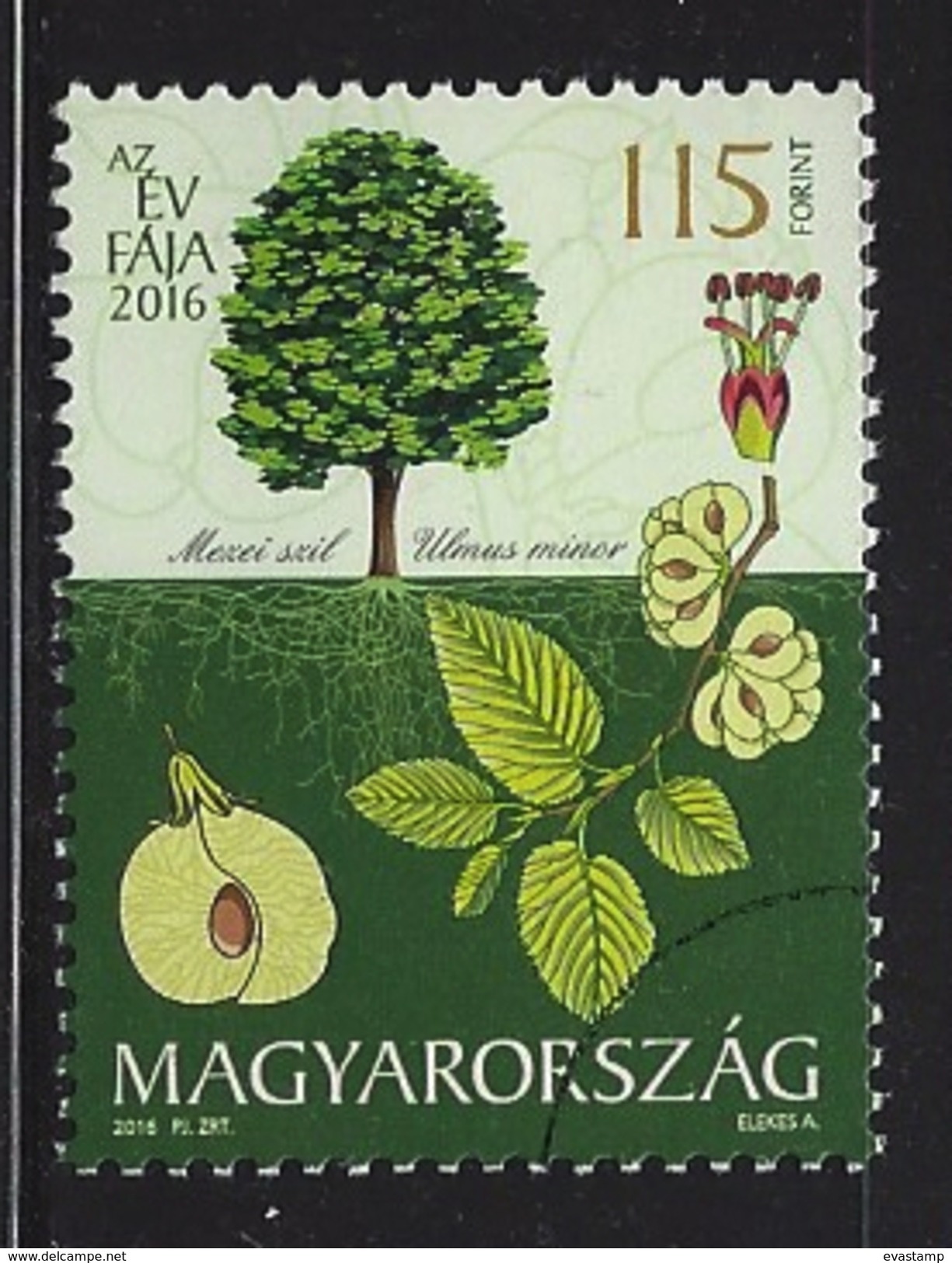 HUNGARY - 2016. SPECIMEN - Tree Of The Year 2016 : The Field Elm/Ulmus Minor - Proeven & Herdrukken