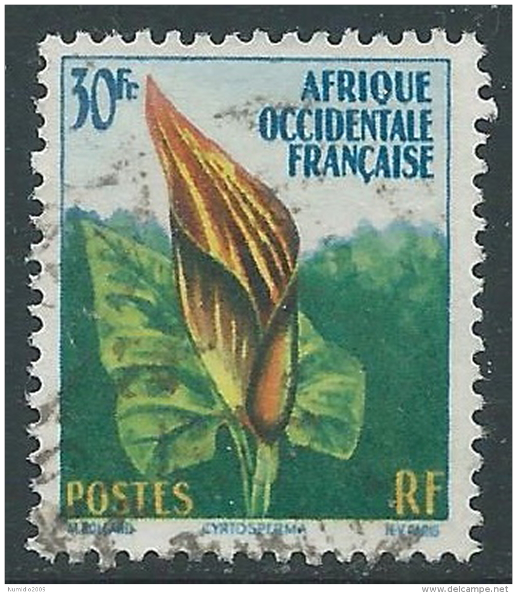 1958-59 AFRICA OCCIDENTALE FRANCESE USATO FIORI 30 F - R39-10 - Used Stamps
