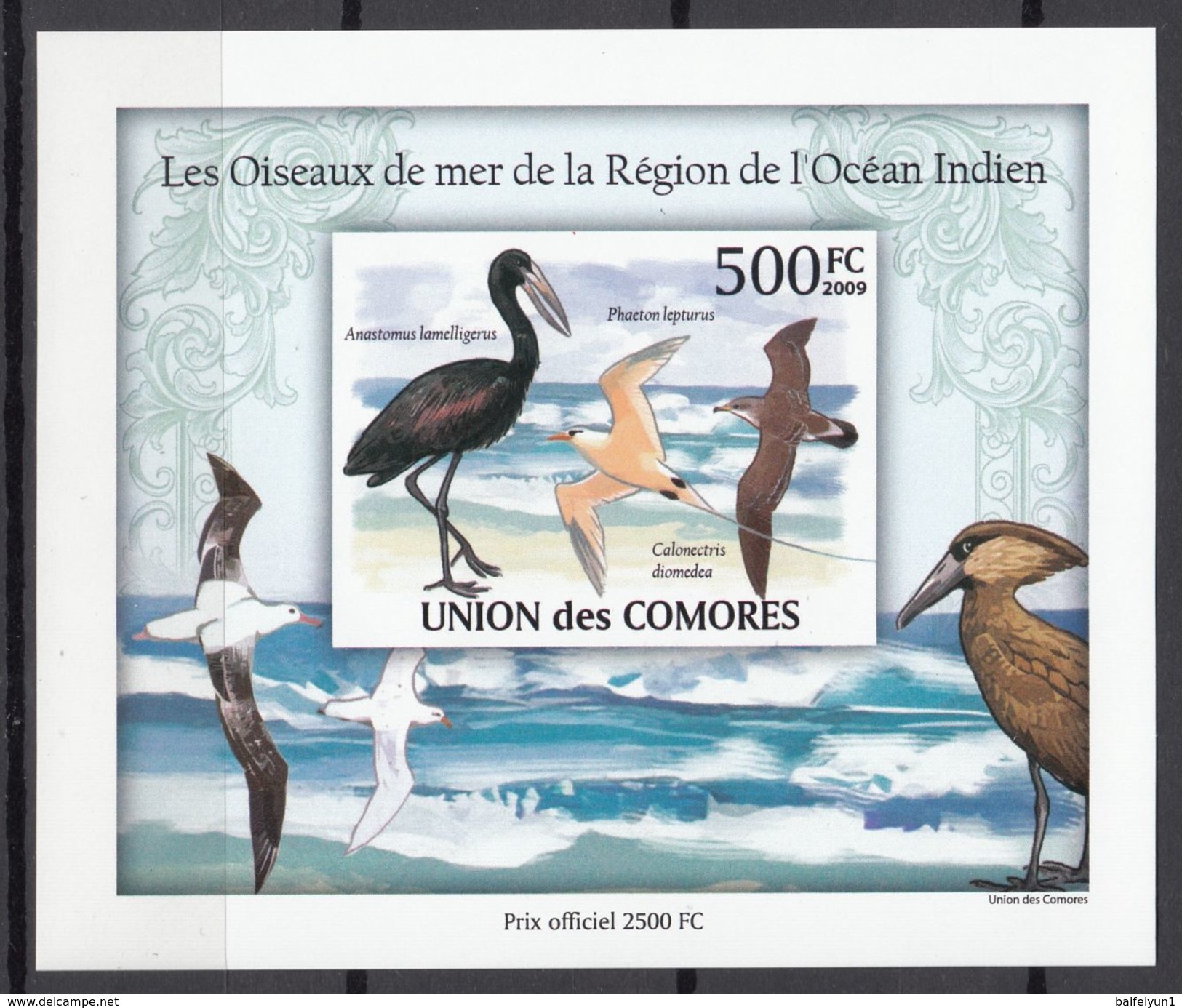 2009 Comores  Stamps Cormorant S/S Imperforated Stamp - Hirondelles