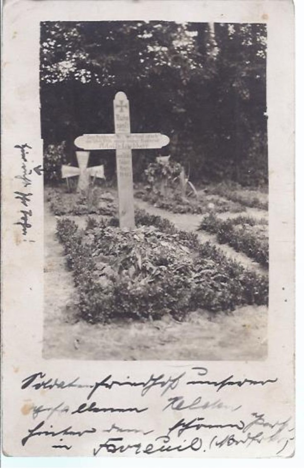 Soldatenfriedhof - Favienil    **Militär Alb 1-145** - War 1914-18