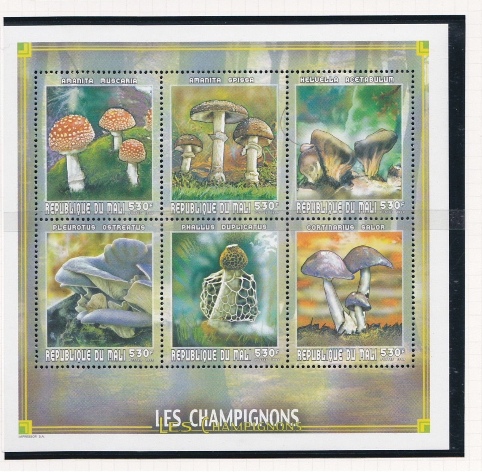 Mali 1999 - Champignons