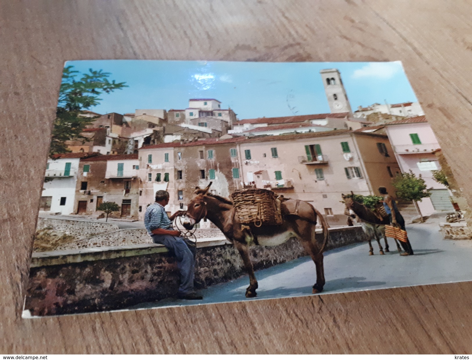 Postcard - Italia, Capoliveri, Donkeys   (V 32555) - Otros & Sin Clasificación