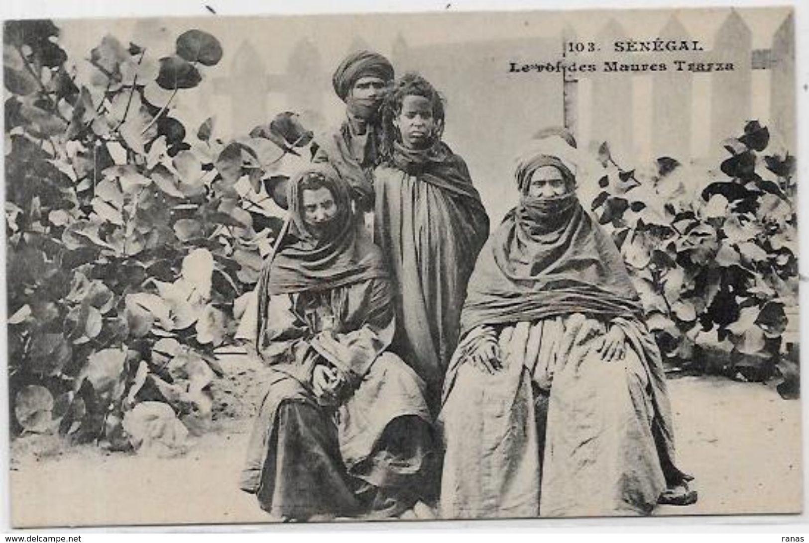 CPA Sénégal Le Roi Des Maures Trarza Non Circulé Type Ethnic - Senegal