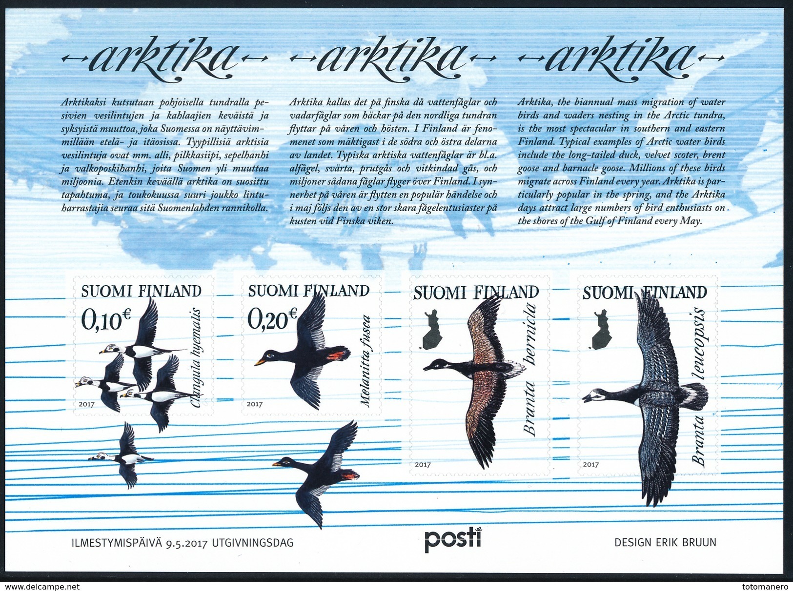 FINLAND/Finnland 2017 ARKTIKA, Arctic Migration Of Water Birds** - Arctic Wildlife