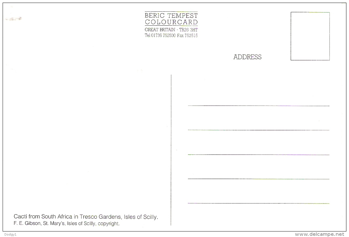 TRESCO GARDENS, ISLES OF SCILLY, ENGLAND. UNUSED POSTCARD Ag2 - Other & Unclassified