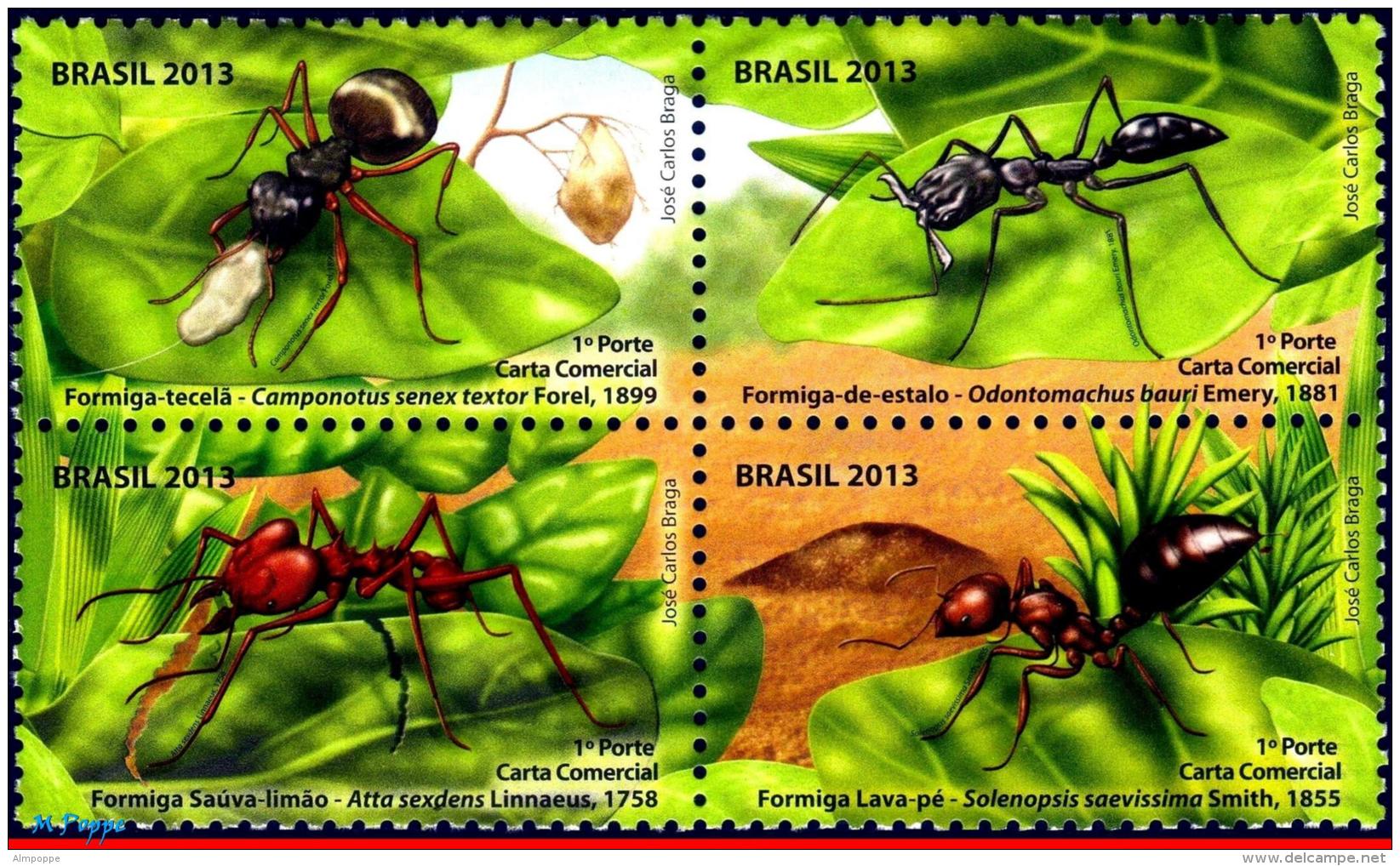 Ref. BR-3245 BRAZIL 2013 INSECTS, ANTS, PLANTS,, SET MNH 4V Sc# 3245 - Unused Stamps