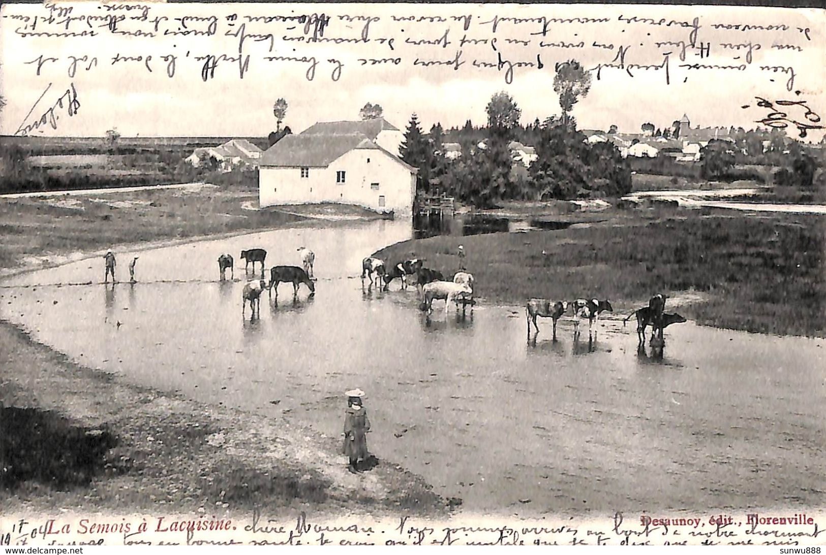 La Semois à Lacuisine (top Animation, Vaches, Edit Desaunoy 1904) - Chiny