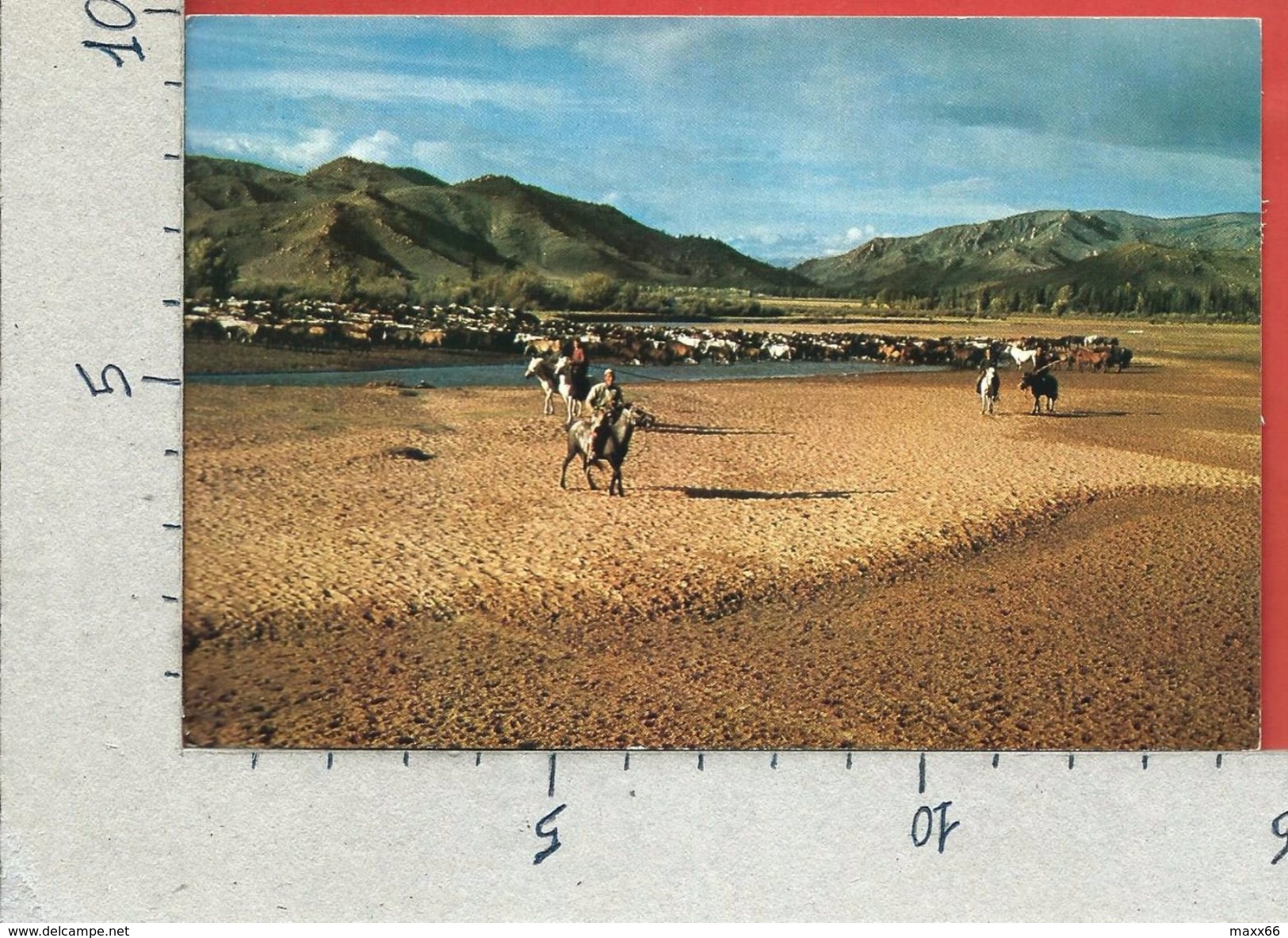 CARTOLINA NV MONGOLIA - Horseman - Tsetserlig Somon - Hubsugul Aimak - 10 X 15 - Mongolië