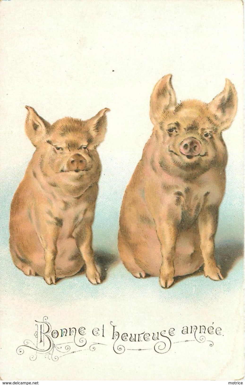 BONNE ET HEUREUSE ANNÉE - Couple De Cochons. - Cochons