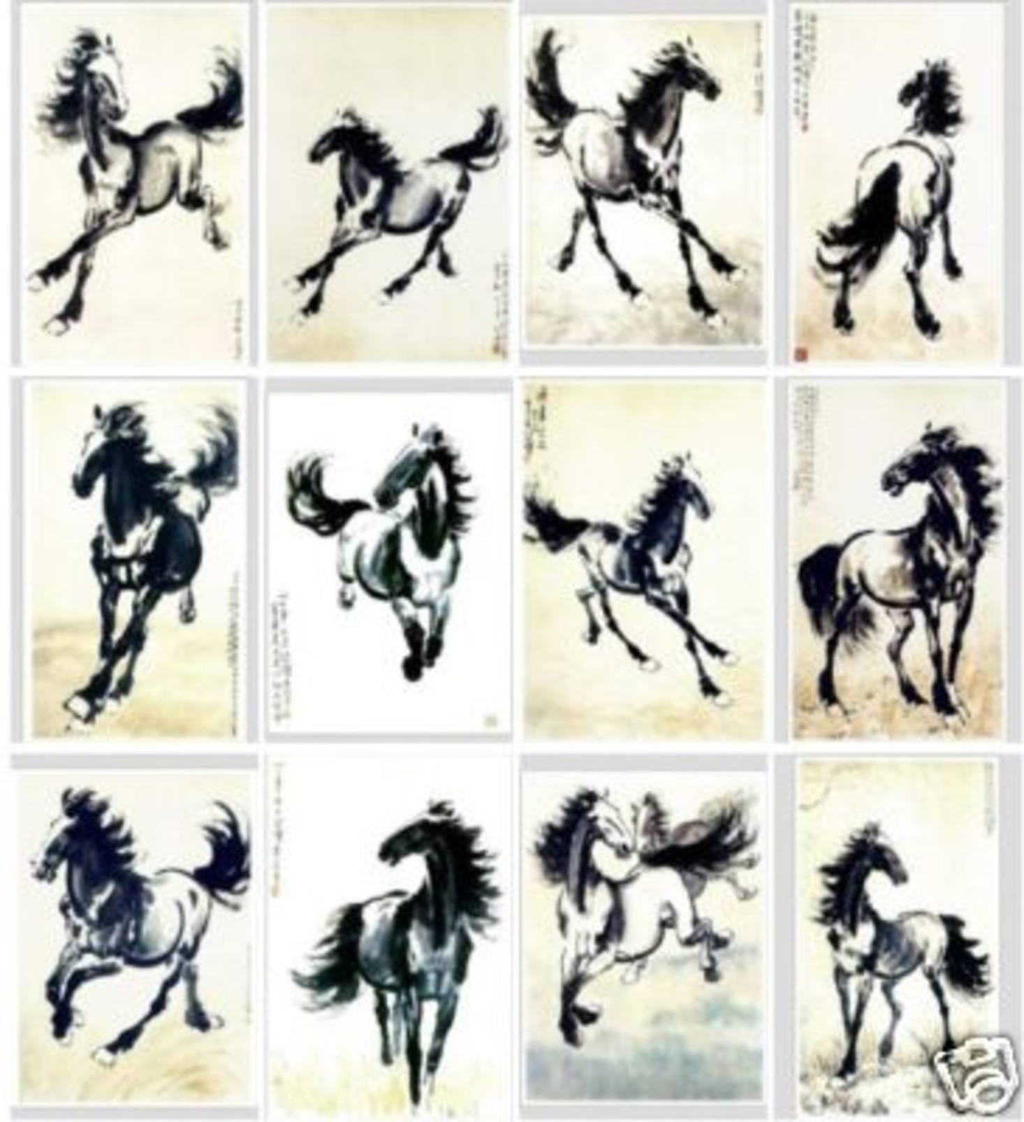 12  Postcards Of Horse Horses Animal , Postkarte Carte Postale - Chevaux