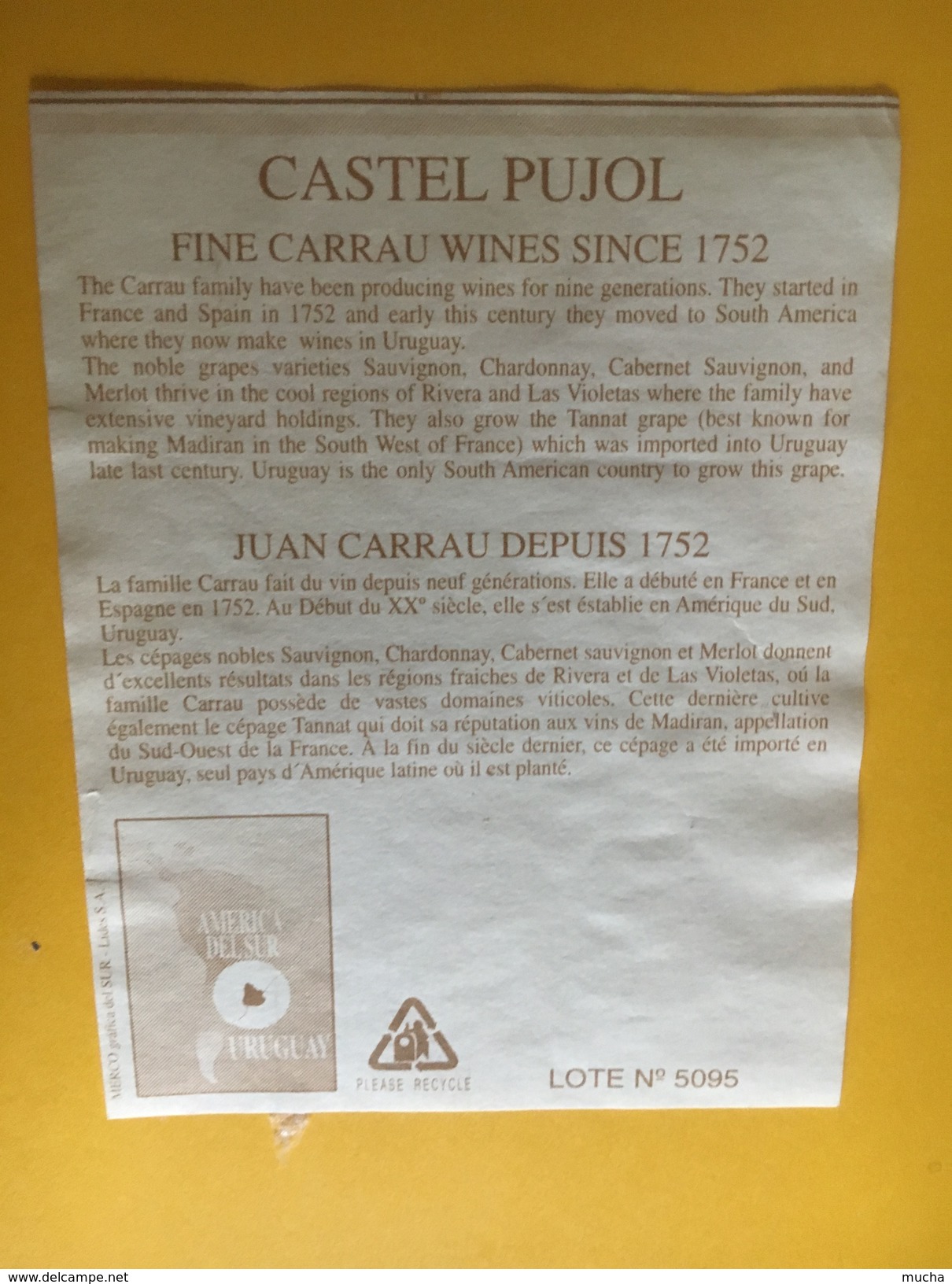 5201 - Castel Pujol 1991 Tannat Uruguay - Autres & Non Classés