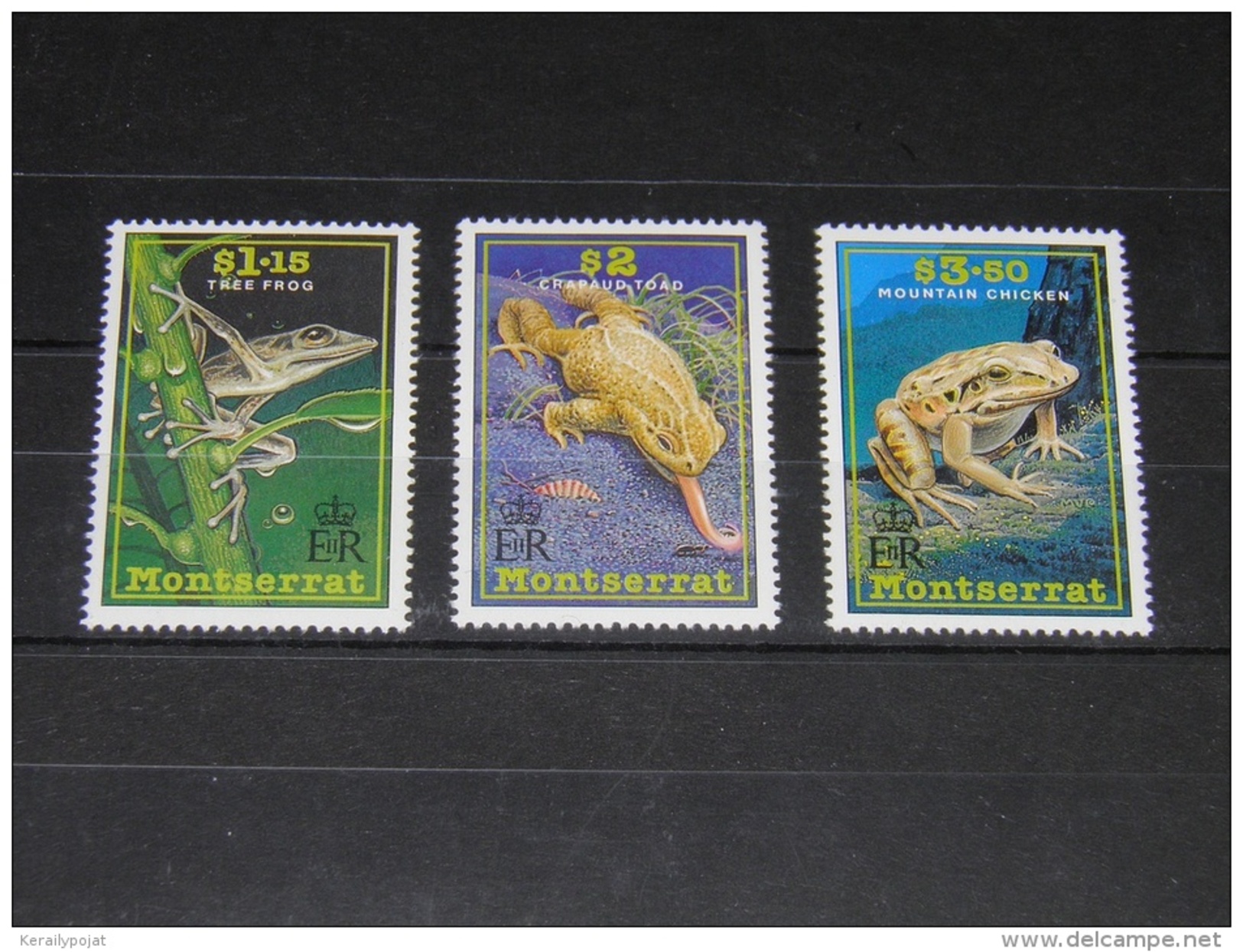 Montserrat - 1991 Frogs And Toads MNH__(TH-8392) - Montserrat