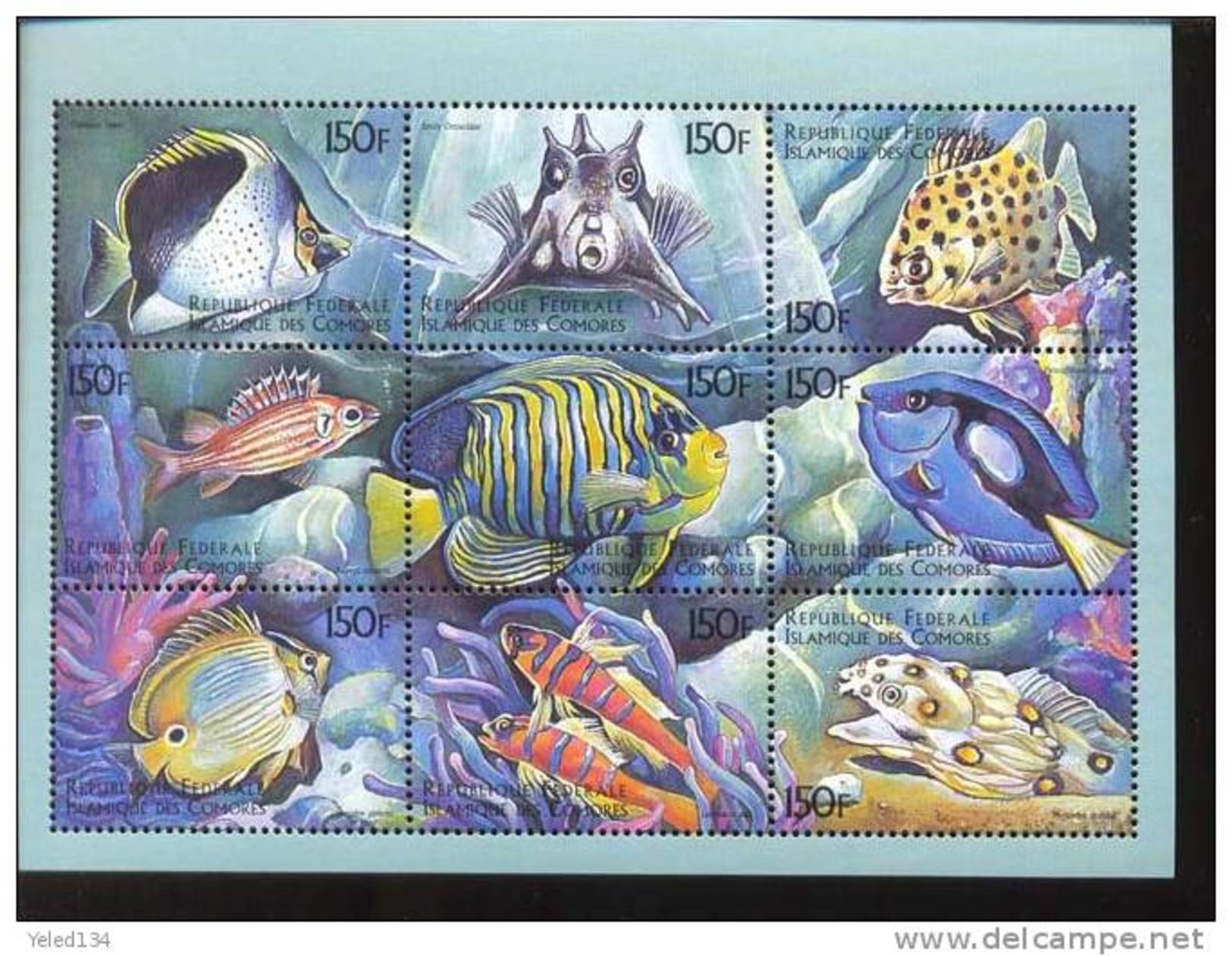 COMORES   875  MINT NEVER HINGED MINI SHEET OF FISH-MARINE LIFE - Fische