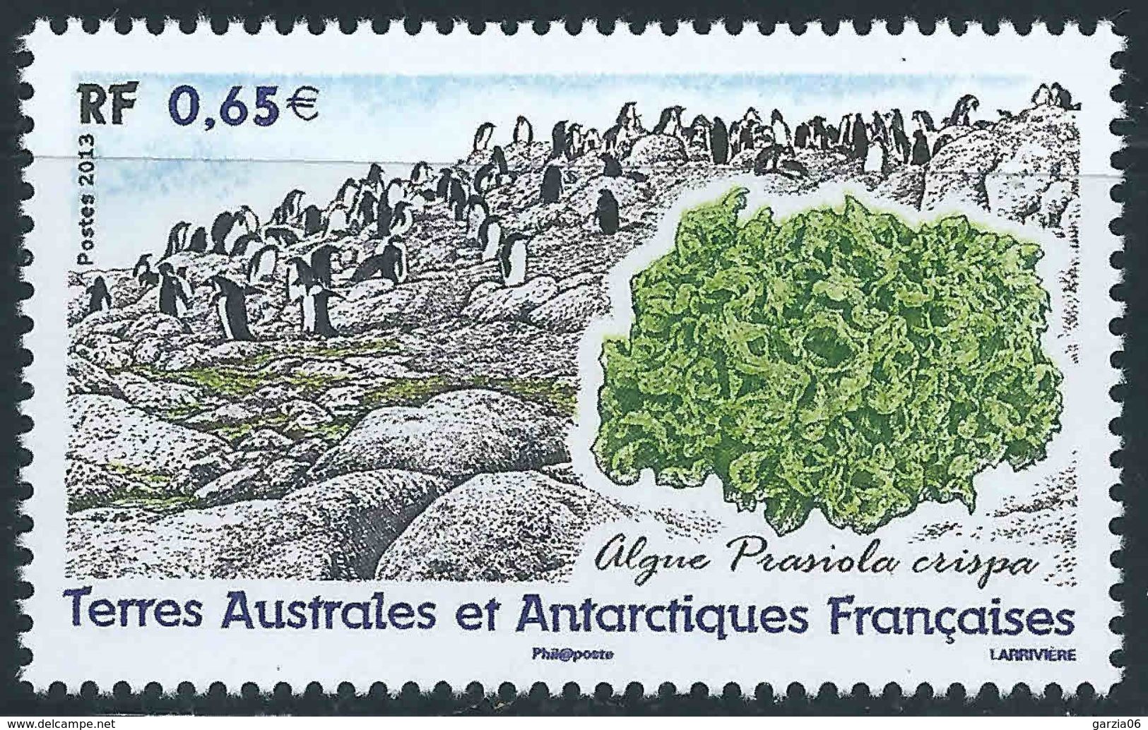 TAAF - 2013 - Flore - Algues  -   N° 648  - Neuf ** - MNH - Ungebraucht