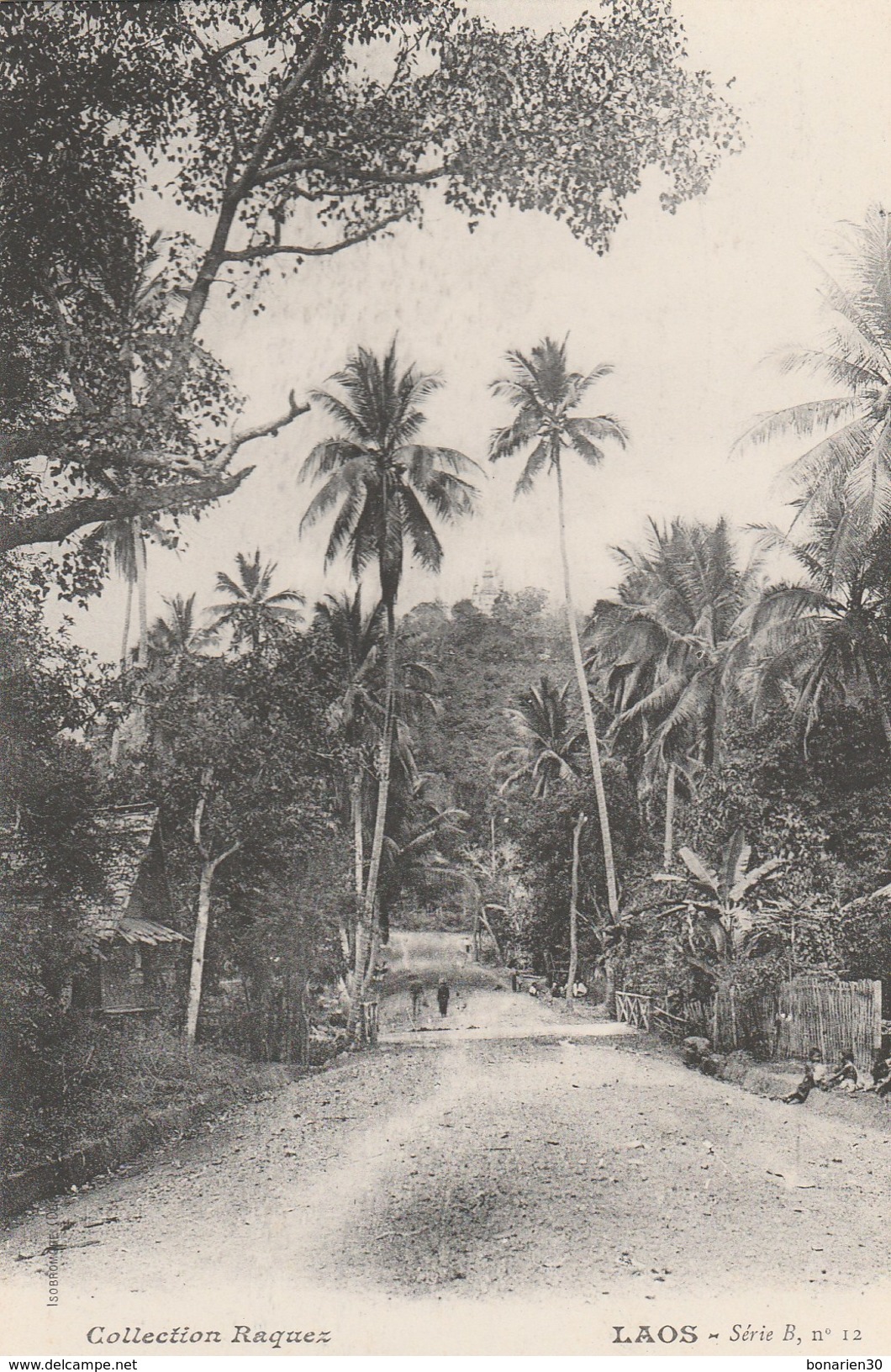 CPA  LAOS LUANG-PRABANG UNE AVENUE - Laos