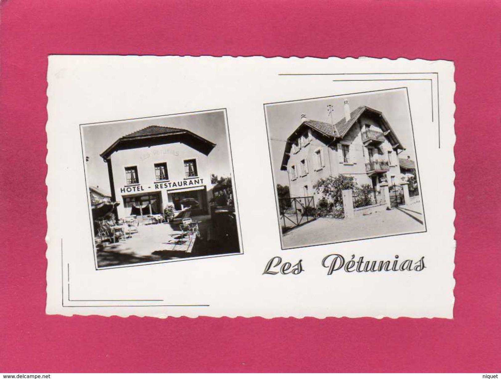 74 Haute Savoie, Annecy, Les Pétunias, Hôtel, Restaurant, Pension, (G. Mouchet) - Annecy