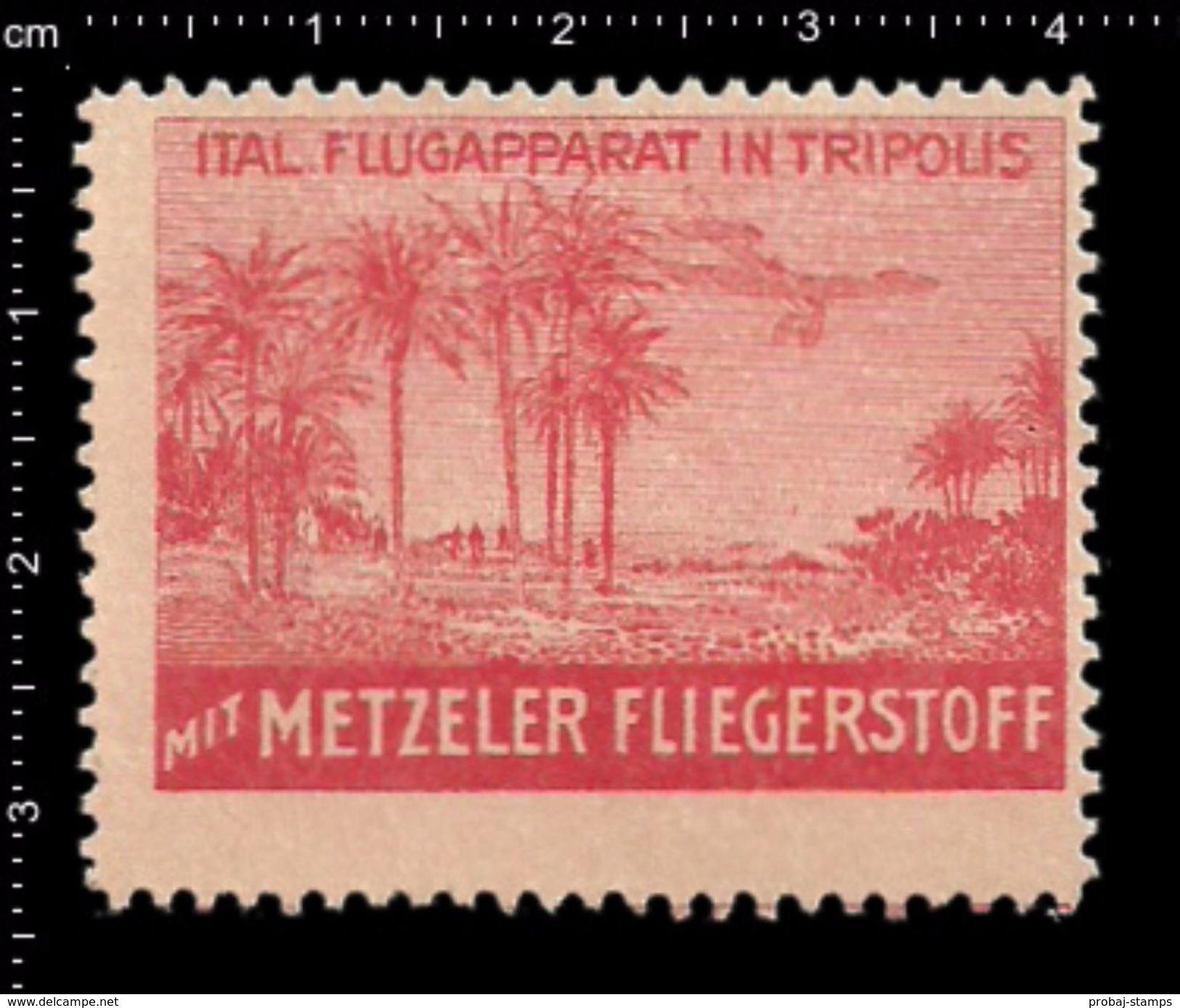 German Poster Stamps, Reklamemarke, Cinderellas, Metzeler, Fliegerstoff, Aviator Material, Airplane, Flugzeug, Tripoli - Aerei