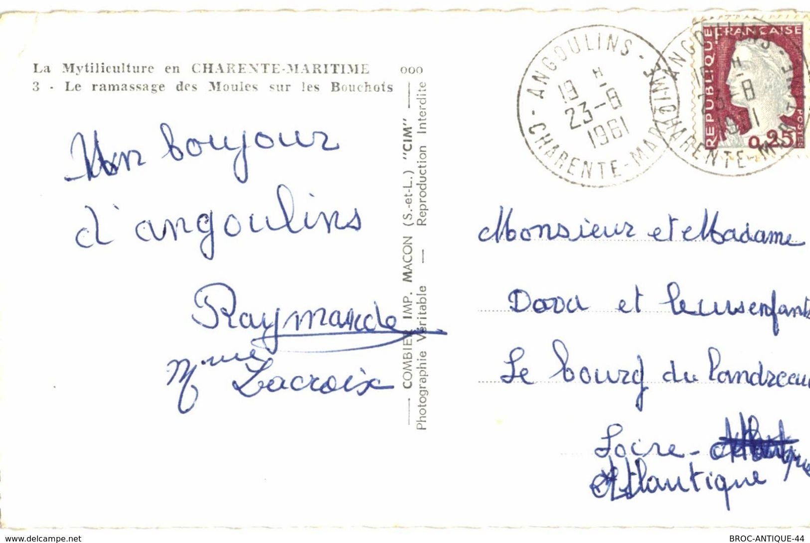 CPA N°14177 - RAMASSAGE DES MOULES SUR LES BOUCHOTS - Angoulins