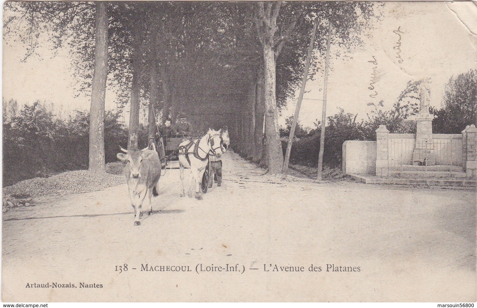 CPA N°138  Dept 44 MACHECOUL L'Avenue Des Platanes - Machecoul