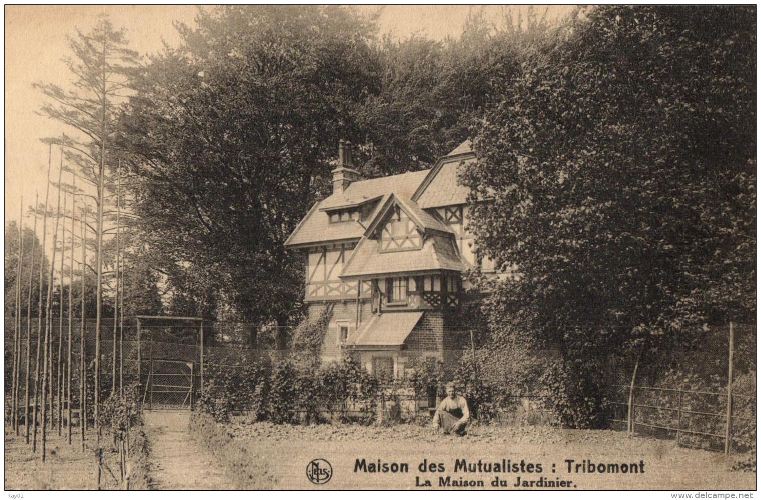 BELGIQUE - LIEGE - PEPINSTER - TRIBOMONT - Maison Des Mutualistes - La Maison Du Jardinier. - Pepinster