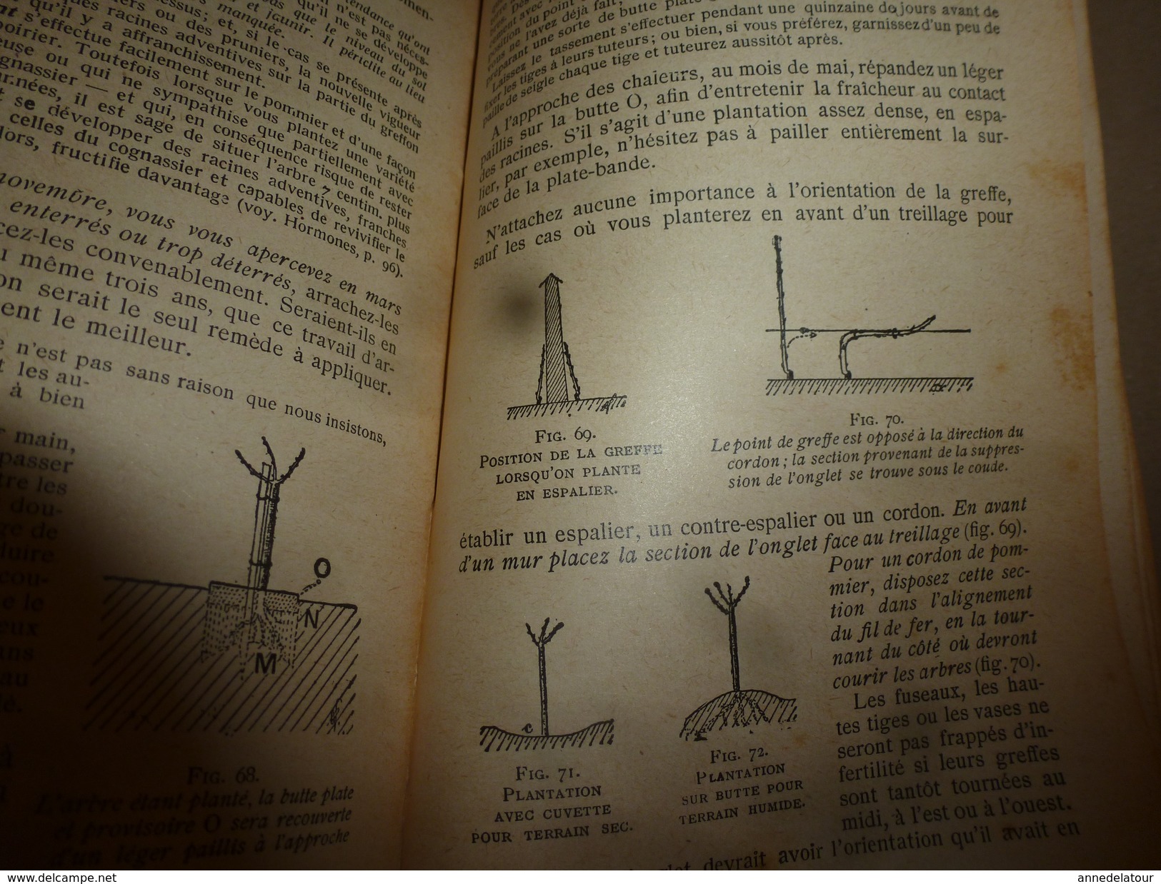 ARBORICULTURE FRUITIERE  (Joseph Vercier) ouvrage aux 5 Gdes Médailles d'Or (1910 origine édit.) réédit. 1951