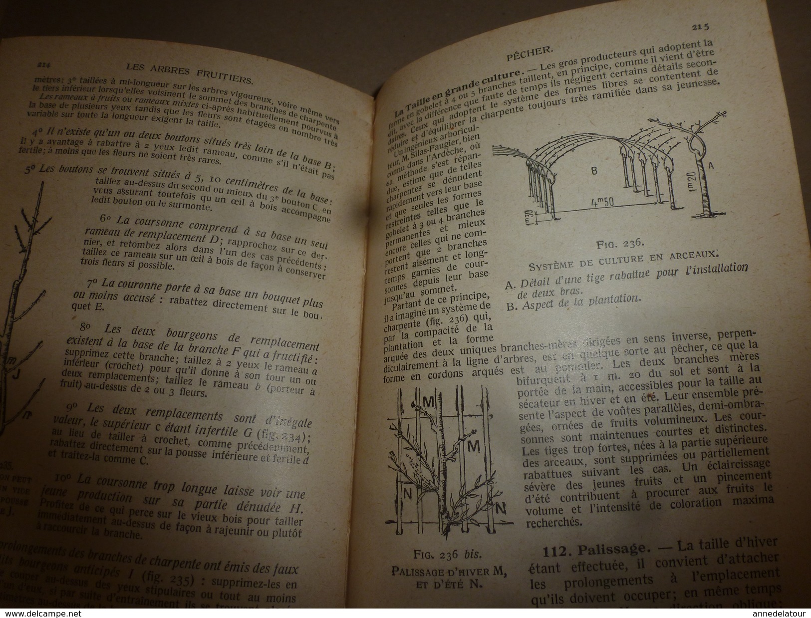 ARBORICULTURE FRUITIERE  (Joseph Vercier) ouvrage aux 5 Gdes Médailles d'Or (1910 origine édit.) réédit. 1951