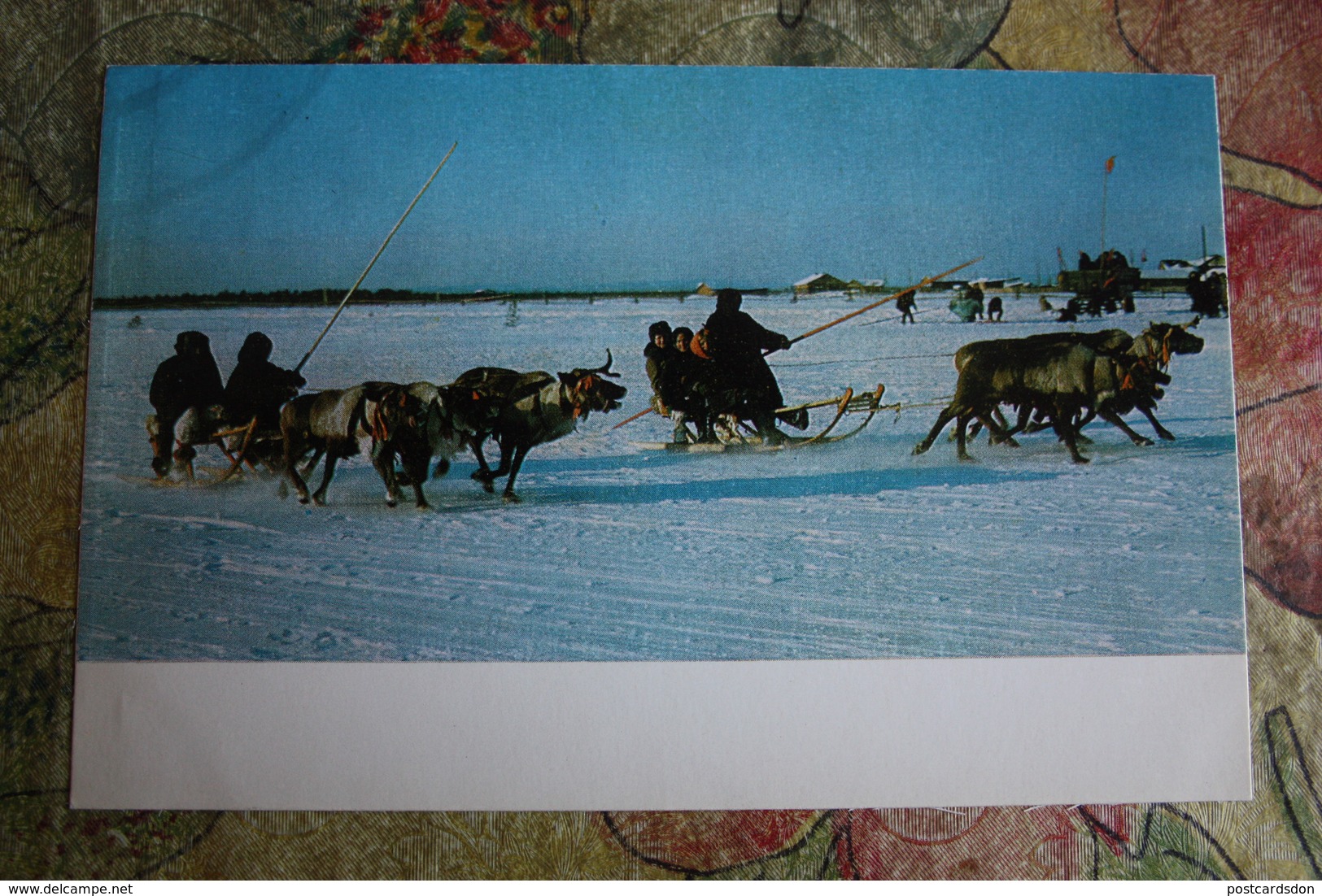 Russia. North. Yamal Region. Traditional National Games . Deer Race  - Old Russian Postcard 1974 - Juegos