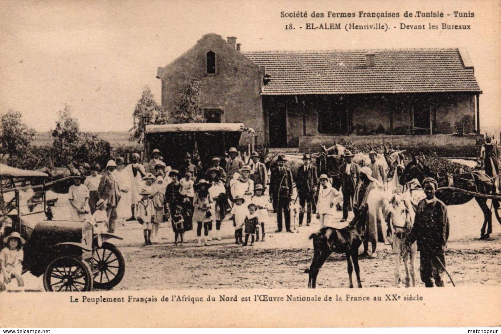 TUNISIE - SOCIETE DES FERMES FRANCAISES DE TUNISIE TUNIS EL ALEM HENRIVILLE DEVANT LES BUREAUX - Tunisie