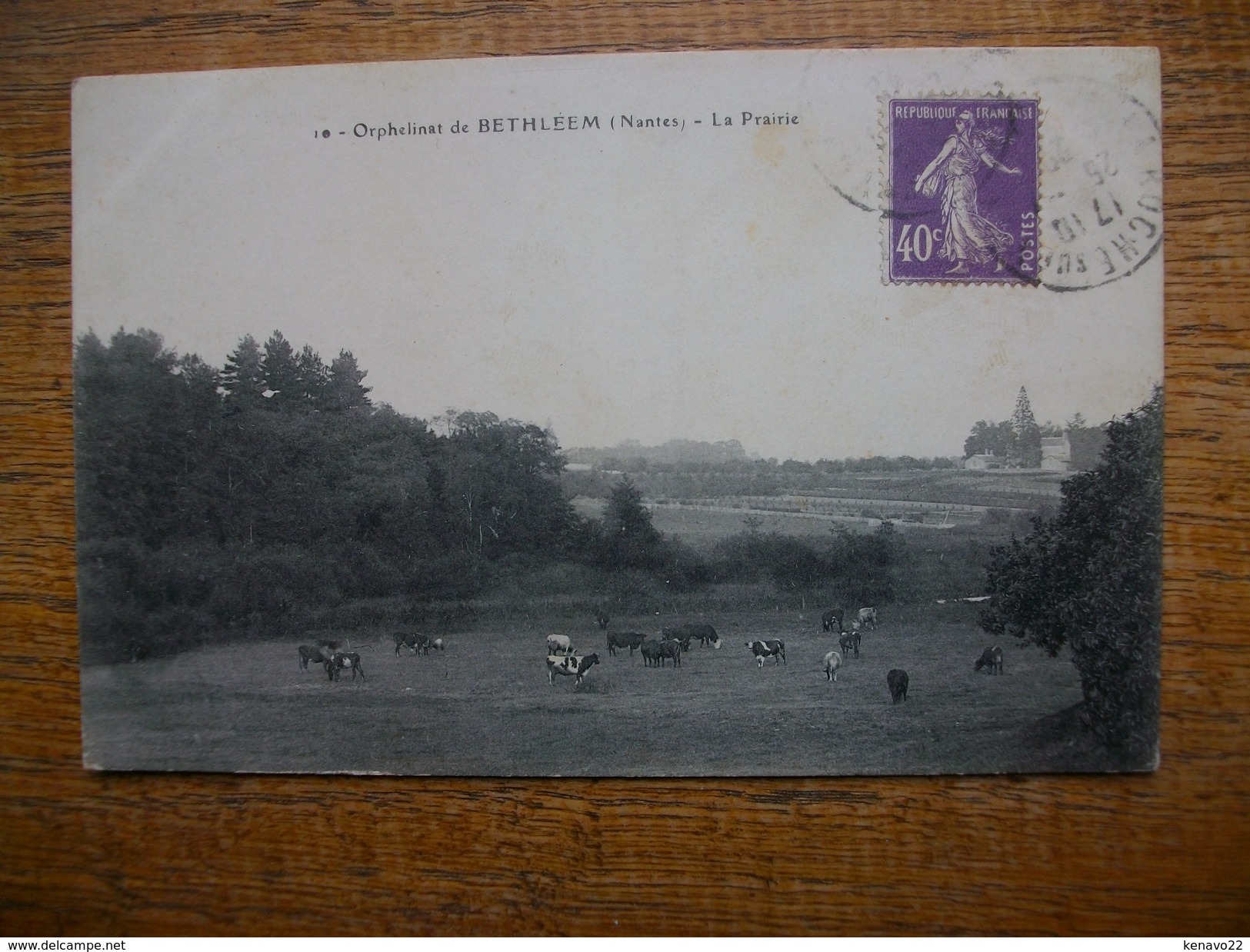 Carte Assez Rare , Nantes , Orphelinat De Bethléem , La Prairie "" Carte Animée  Vaches Dans La Prairie "" - Nantes