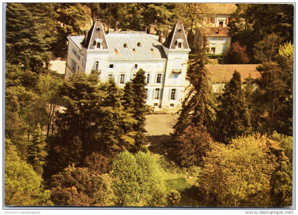 81 LAVAUR - Institut Chaminade. - Lavaur