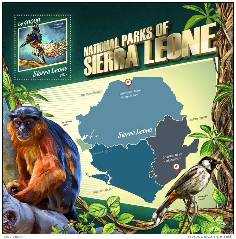 SIERRA LEONE 2017 ** National Parks Monkey Affen Singes S/S - IMPERFORATED - DH1746 - Affen