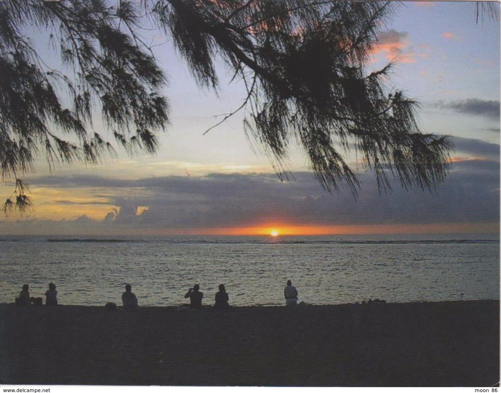 974 ILE DE LA REUNION  - PLAGE ET FILAOS DEVANT LE LAGON HERMITAGE ST GILLES LES BAINS - Autres & Non Classés