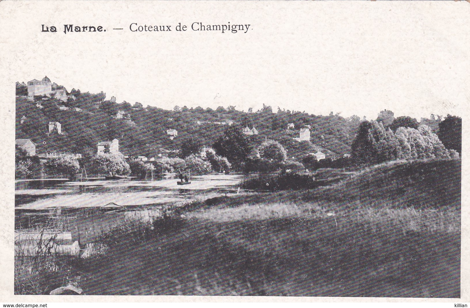 Coteaux De Champigny - Champigny
