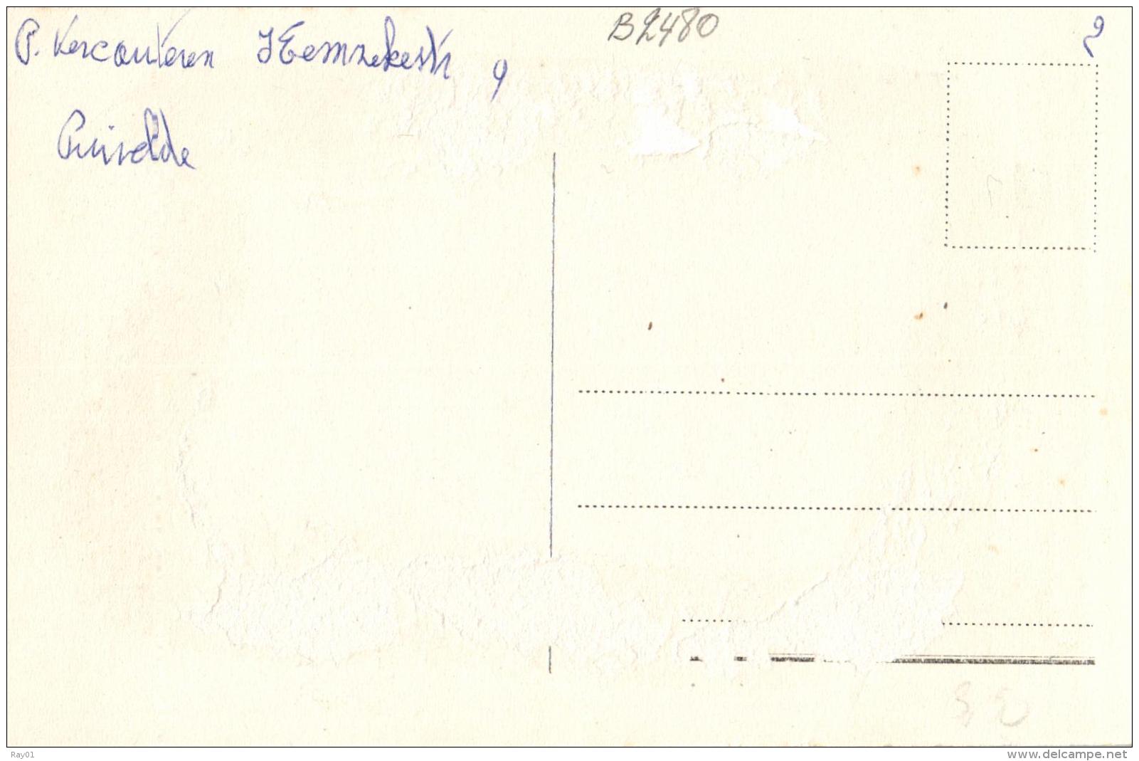 BELGIQUE - FLANDRE ORIENTALE - SAINT-NICOLAS - SINT-NIKLAAS - BELCELE - PUYVELDE - Kerk S. Job. - Sint-Niklaas